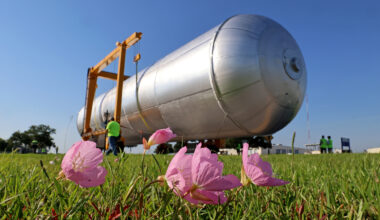 In the foreground, a few pink flowers on a grassy field lean to the right. Behind them is a long, silver cylinder being moved by crews in bright green safety shirts and vests. The massive object is the liquid hydrogen tank for the Artemis IV rocket.