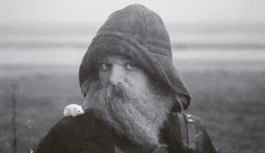 mary in the junkyard: Role Model Hermit Album Review