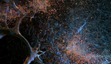 Neuroscience News logo for mobile.