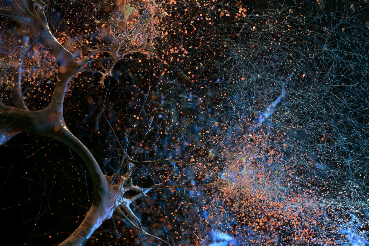 Neuroscience News logo for mobile.