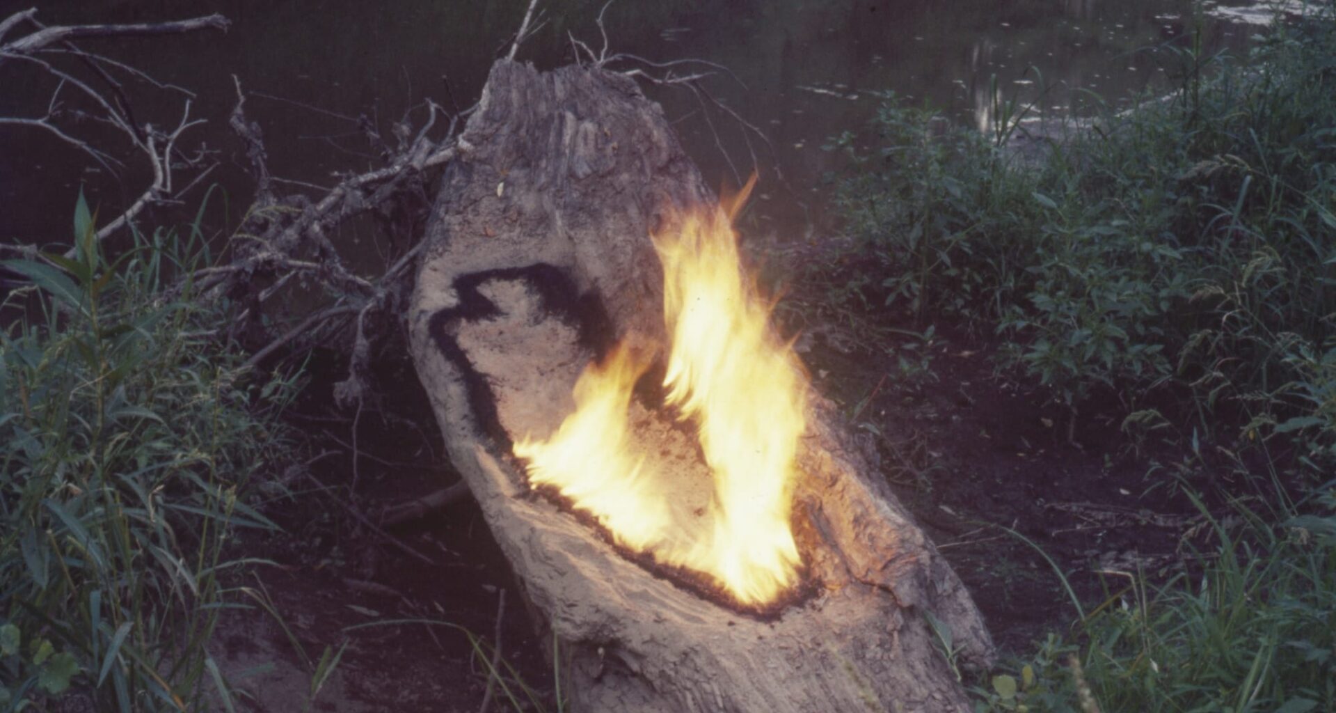 a photographic artwork by Ana Mendieta documenting an outline of gunpowder on a dead log, half ignited