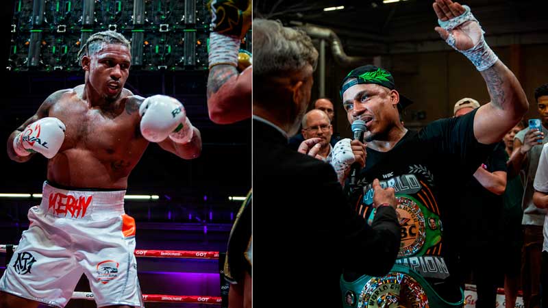 The Essential Ryad Merhy – World Boxing Council