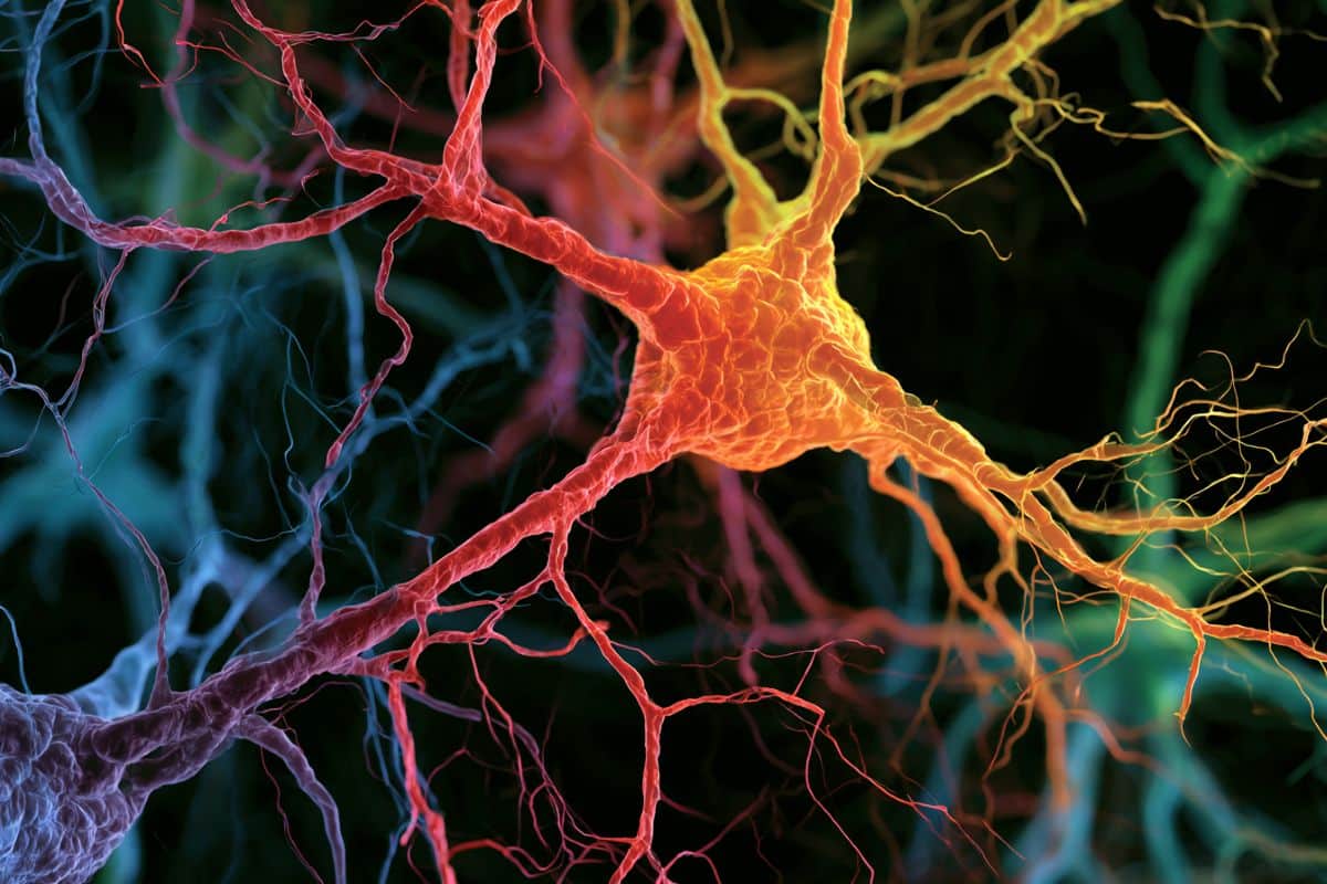 Neuroscience News logo for mobile.