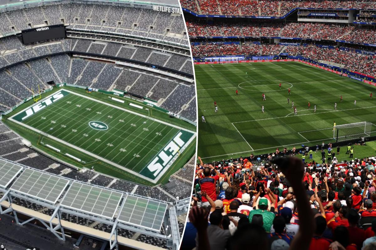 NFL stars making vocal push for fields to have natural grass following World Cup switch