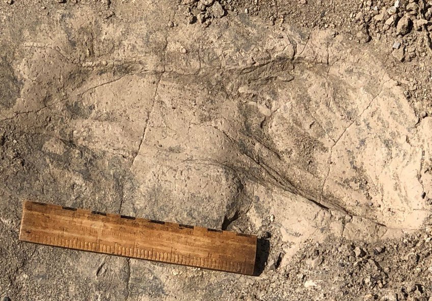 1.4-million-year-old fossil footprint excavated in Kenya.