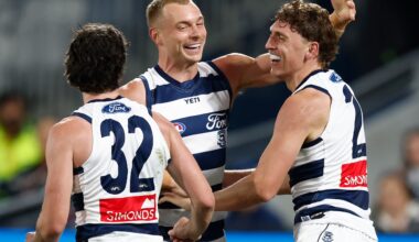 Cats bounce back to burst Saints' bubble but face worrying injury concerns