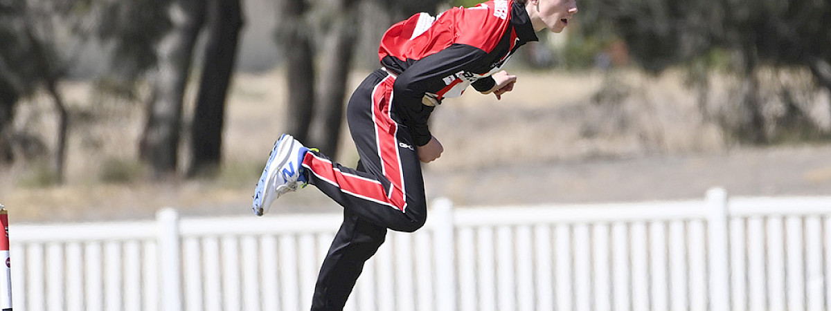 Dezi Carter wins cricket state selection