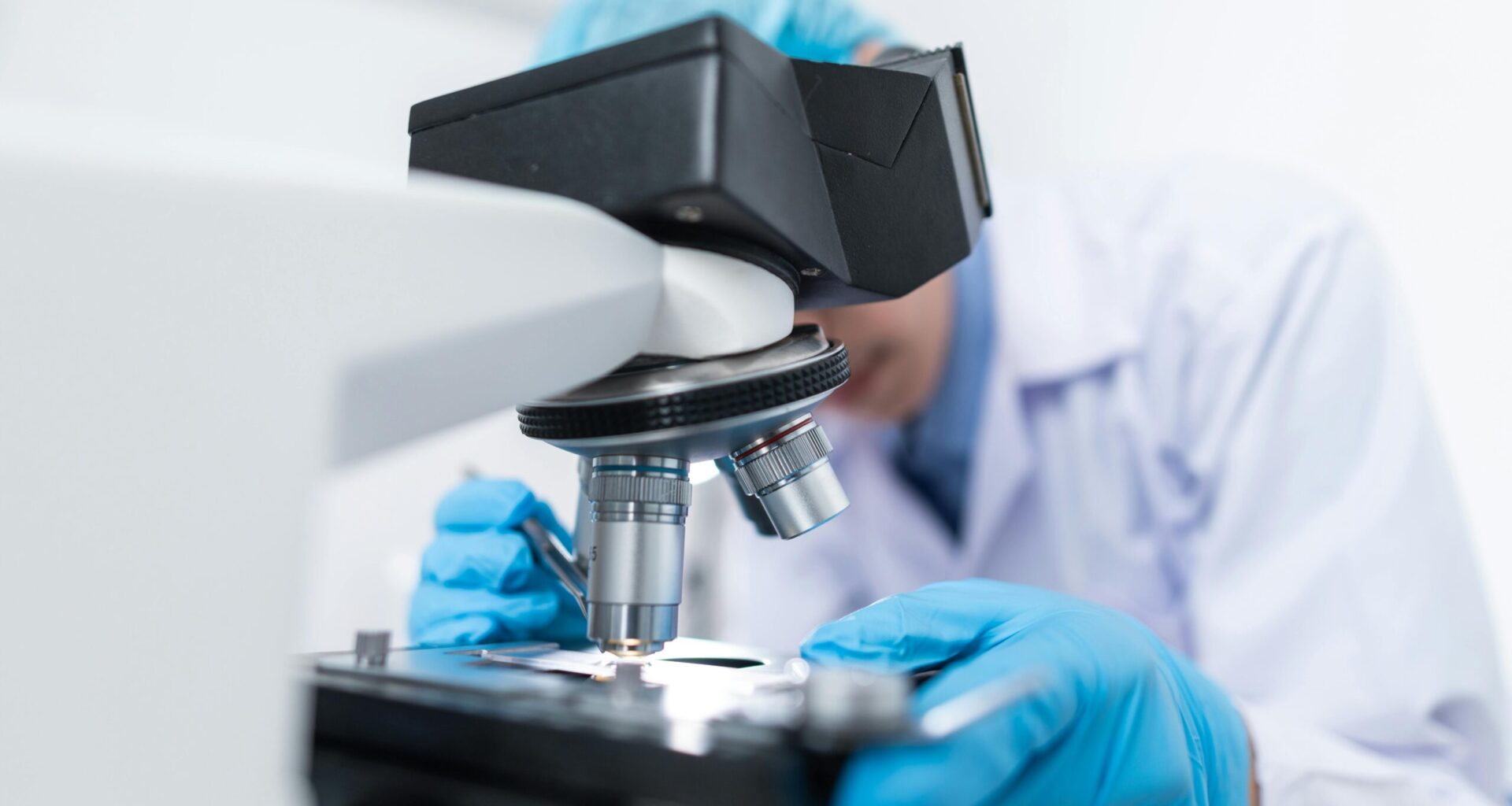HUN-REN Researchers Use Viruses to Fight Bacterial Infections in Major European Study
