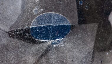 At least six moons in our solar system are thought to hide oceans of liquid water beneath their frozen surfaces — and the list may keep growing as old spacecraft data, improved models and new missions reveal oceans in increasingly unexpected places