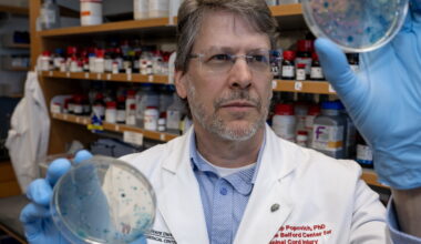 Phillip Popovich, PhD, professor and chair of neuroscience at The Ohio State University Wexner Medical Center and College of Medicine.