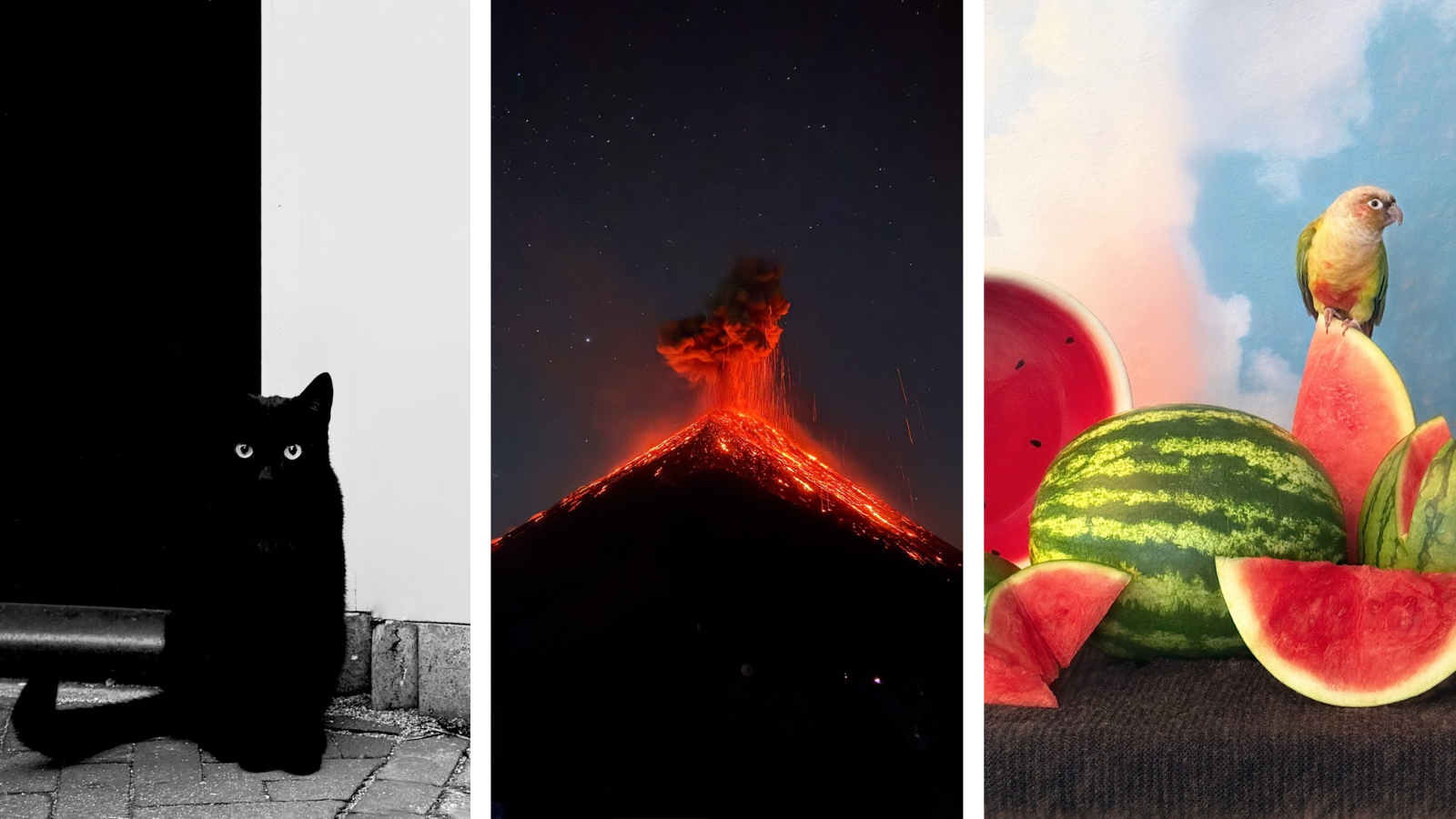Triptych of three images from the iPhone Photography Awards 2026, including a black cat, an erupting volcano, and a parrot perched on a watermelon