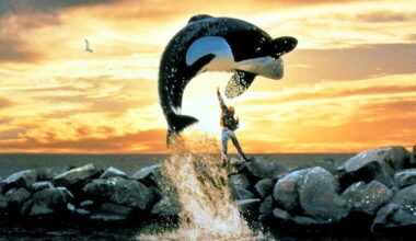 Russos Plan A Remake Of "Free Willy"