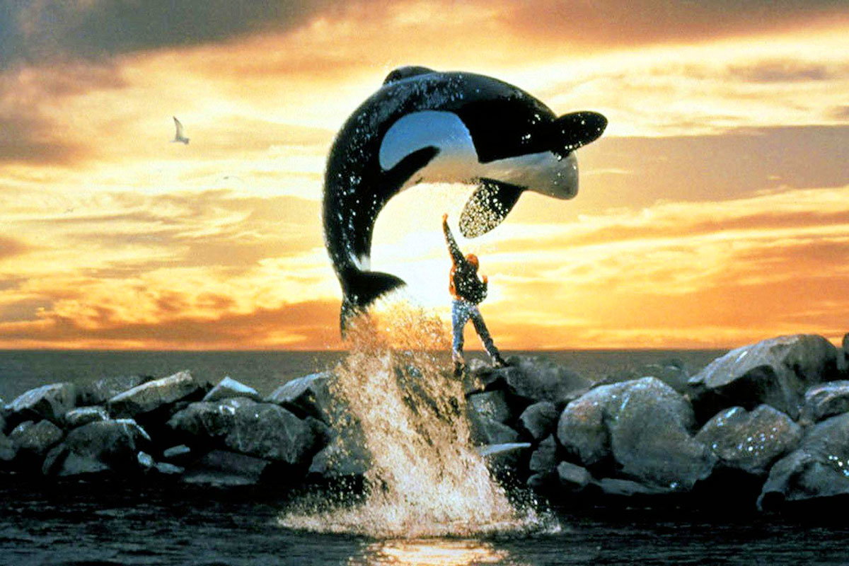 Russos Plan A Remake Of "Free Willy"