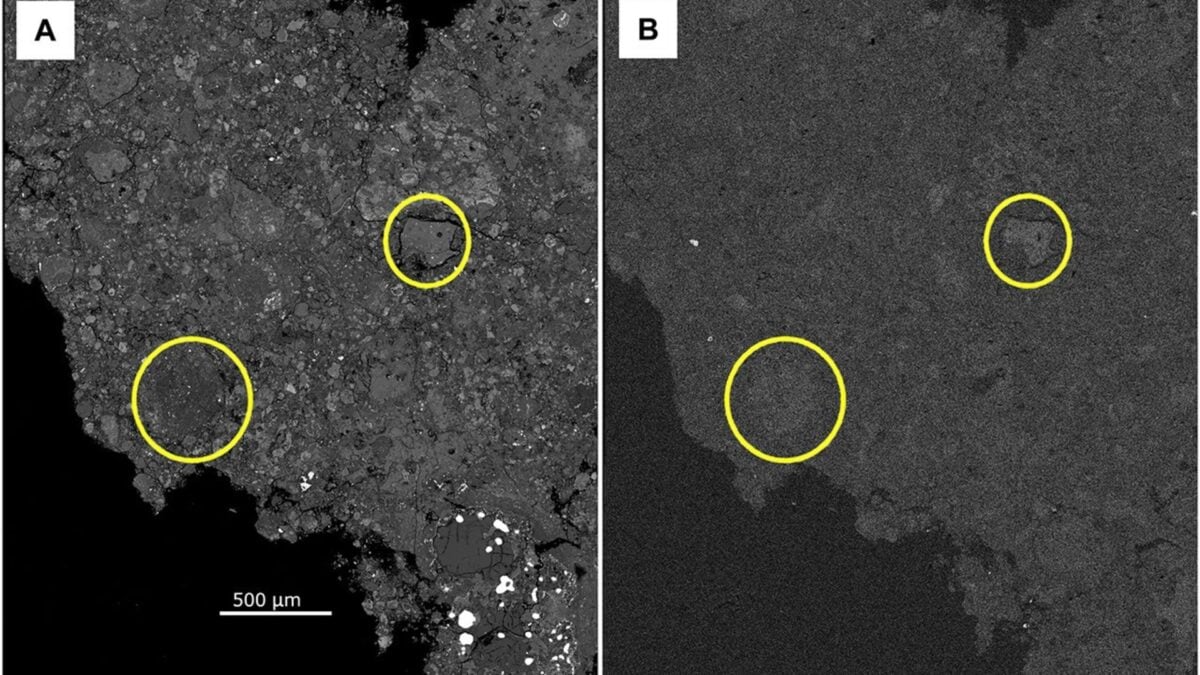 Meteorite That Crashed Into New Jersey Home Contains Rare Ingredients of Life