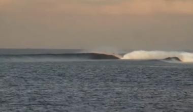 Australian Oil & Gas Co. Wants To Destroy A World-Class Reef