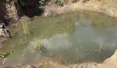 Zimbabwe malaria cases rise amid gold rush