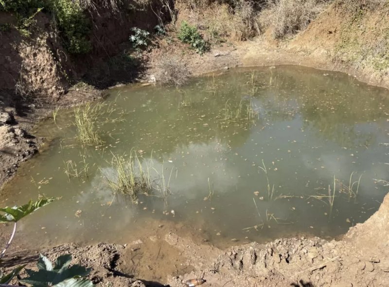 Zimbabwe malaria cases rise amid gold rush Zimbabwe malaria cases rise amid gold rush