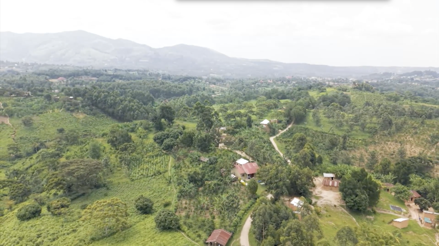 Small rural villages border Bwindi Impenetrable National Park, home to nearly half of the world’s mountain gorillas.