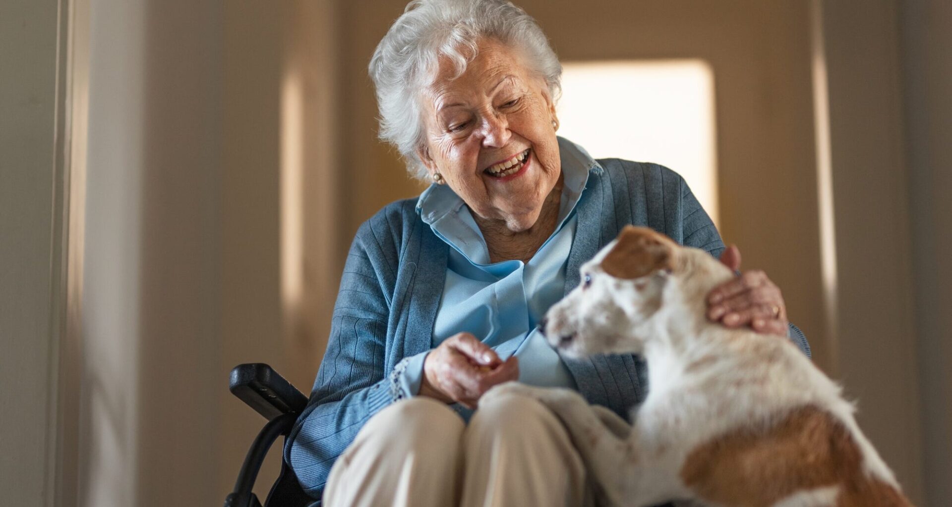 Nearly half of dementia cases can be prevented, study finds