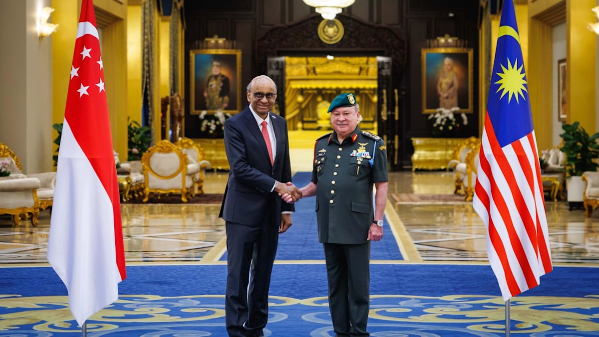 Singapore and Malaysia 'building further' on strong economic partnership, says President Tharman