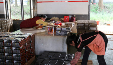 China Manufacturing Gauge Shows Slower Growth in Activity