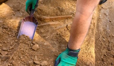 An archaeologist digging in dirt.
