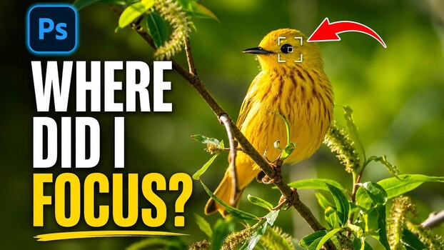 Camera Raw Focus Points: The Hidden Right-Click Feature