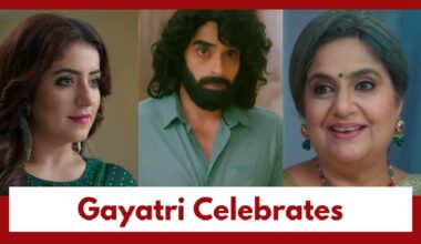 Tumm Se Tumm Tak Upcoming Twist: Gayatri celebrates her son Yash's return; Meera ponders over her next move 1