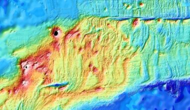 World First: Scientists Witnessed a Piece of Earth's Oceanic Crust Being Born : ScienceAlert