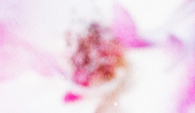 Stereogum home