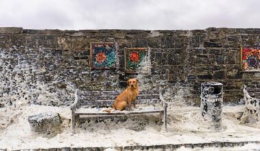 Press photographer of the year exhibition to return to Offaly