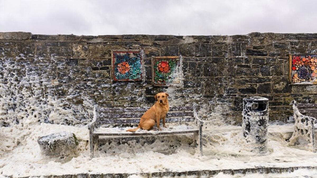 Press photographer of the year exhibition to return to Offaly