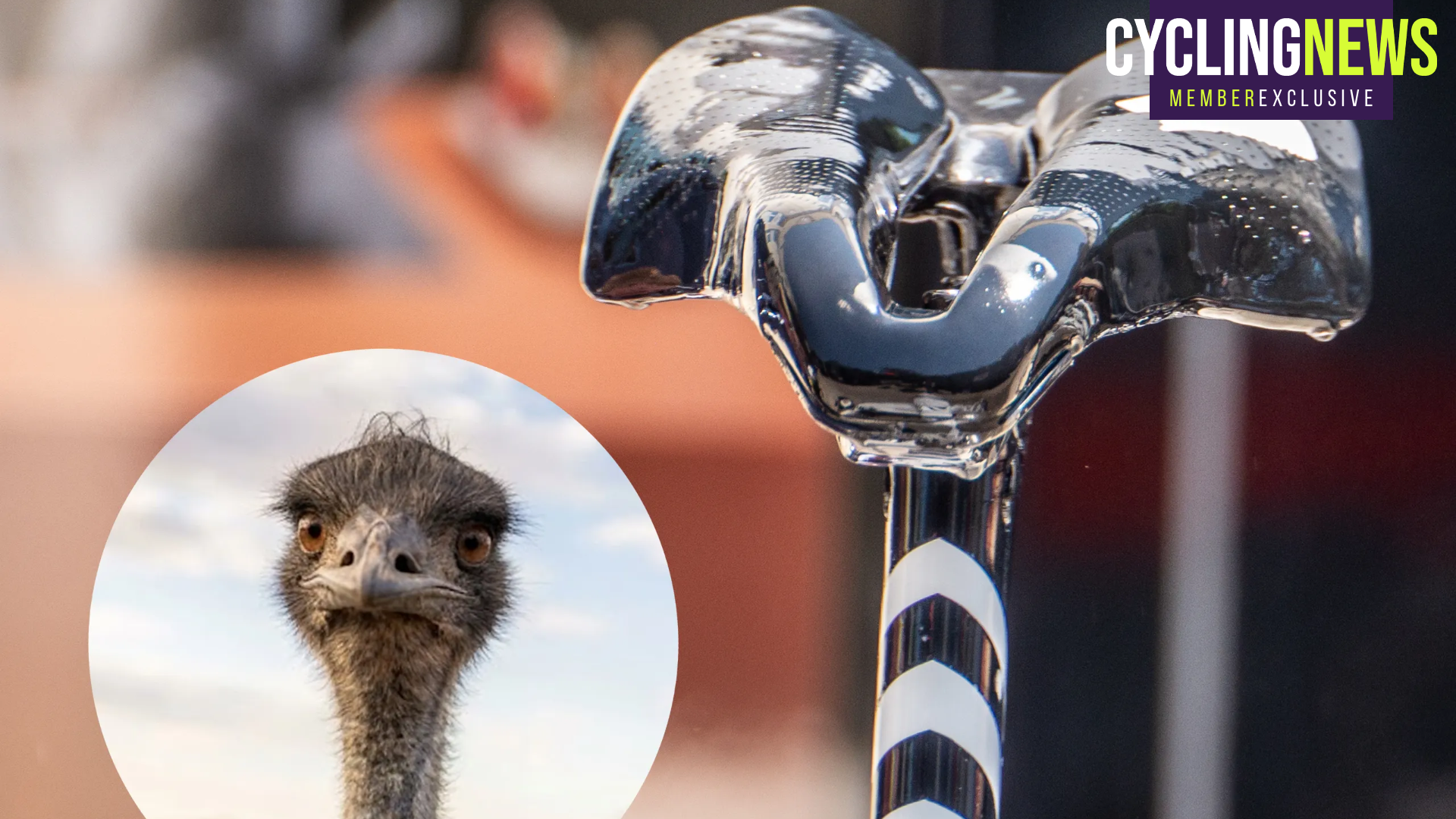 Seat post and saddle looking like an emu
