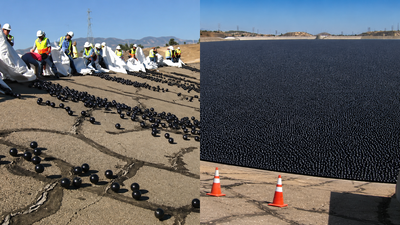 Why Los Angeles dropped 96 million black balls into drinking water