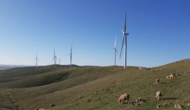 "Scrap the patchwork:" CEC calls for single, national community payment scheme for renewables projects