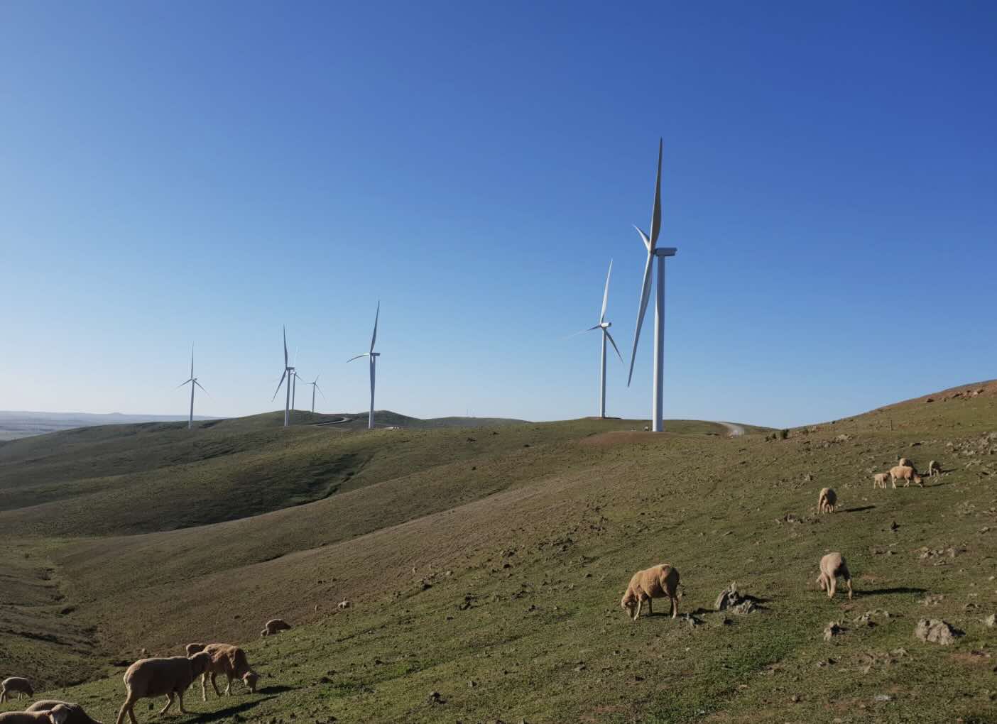 "Scrap the patchwork:" CEC calls for single, national community payment scheme for renewables projects