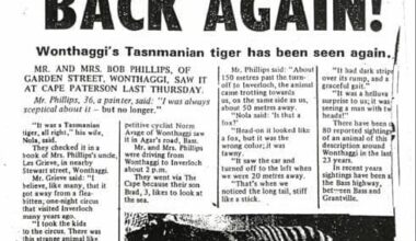 Tasmanian tigers, Wonthaggi monsters, oh my!
