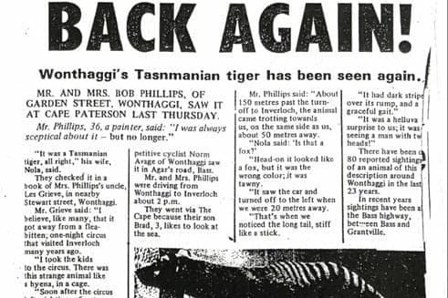 Tasmanian tigers, Wonthaggi monsters, oh my!