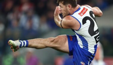 AFL R19 match report: Dees prove too strong for Roos