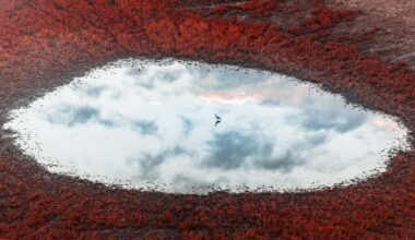 The aerial image of the year looks almost unreal – "I prioritize capturing the 'money shot' in-camera," says award-winning photographer