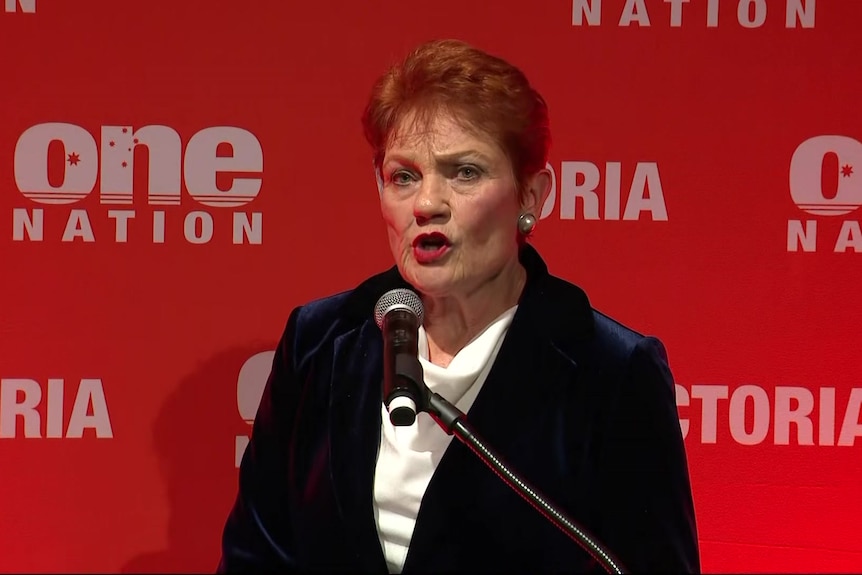 Pauline Hanson pictured at a One Nation political fundraiser