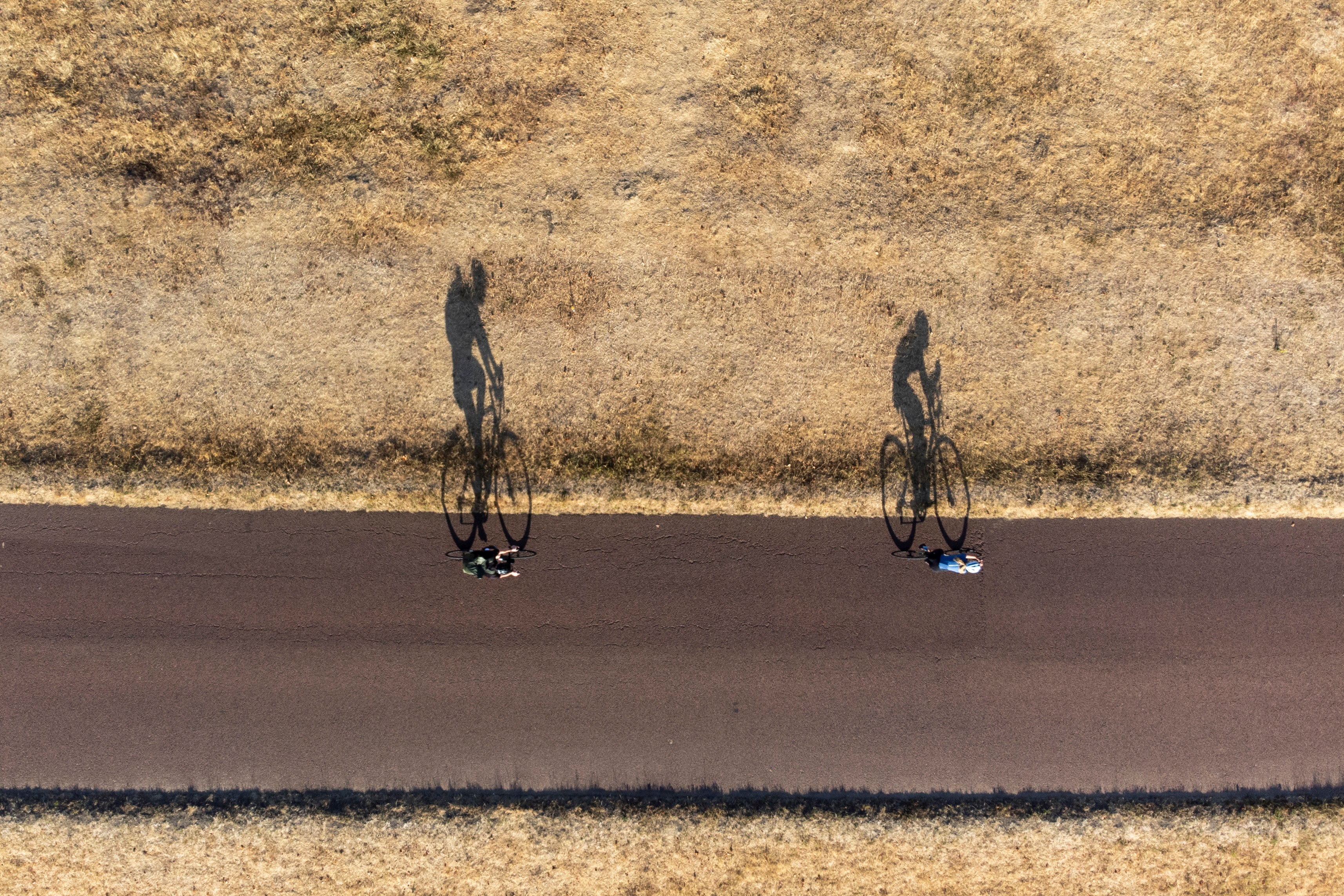 Vicious cycle: bikers ride alongside the scorched grass of Richmond Park, London