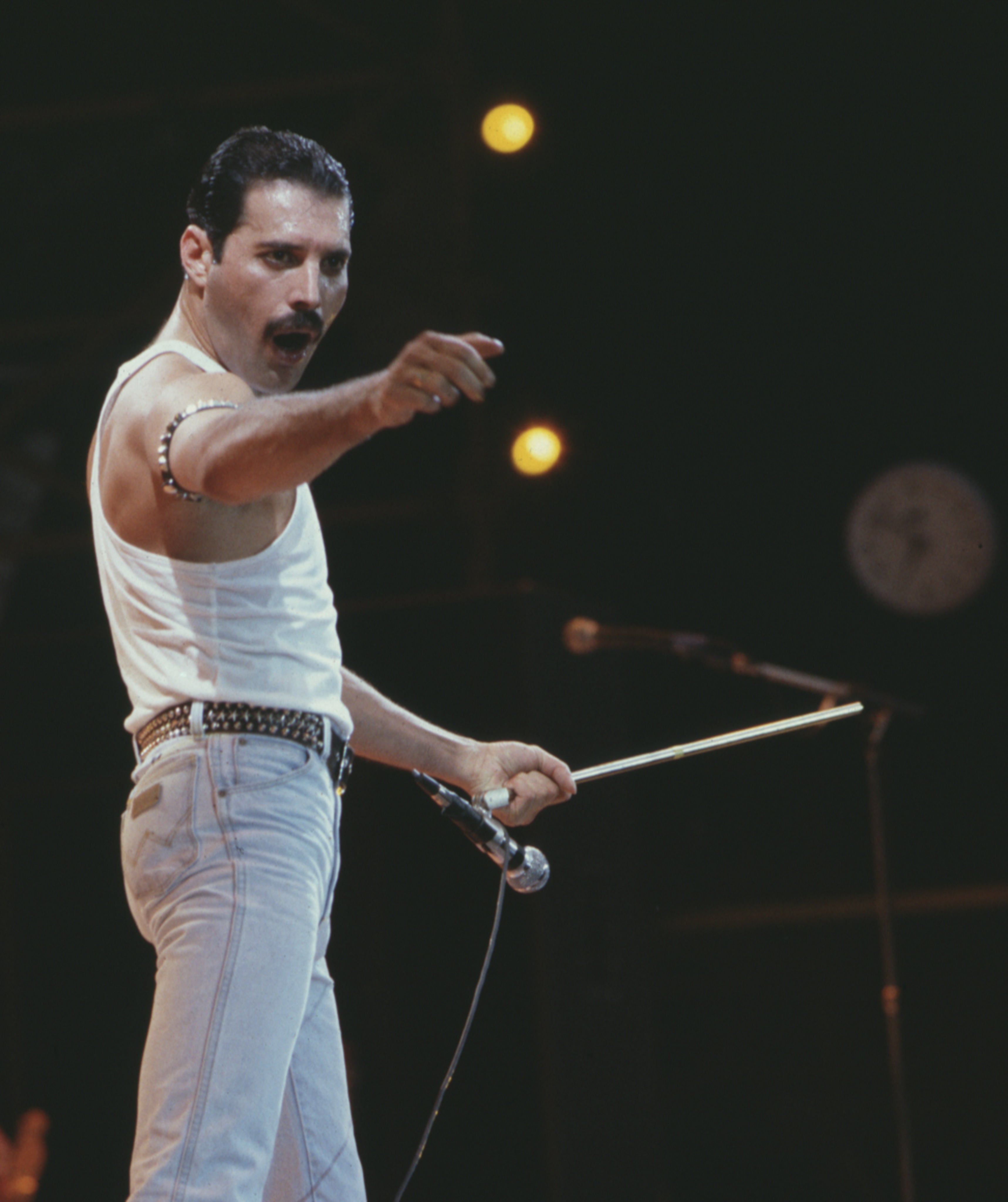 Mercury, who was born Farrokh Bulsara on September 5 1946, was a founding member of pop rock band Queen