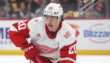 Red Wings’ Patience With Albert Johansson Is Finally Paying Off