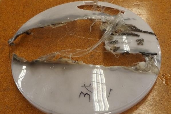 A badly burned ceiling light