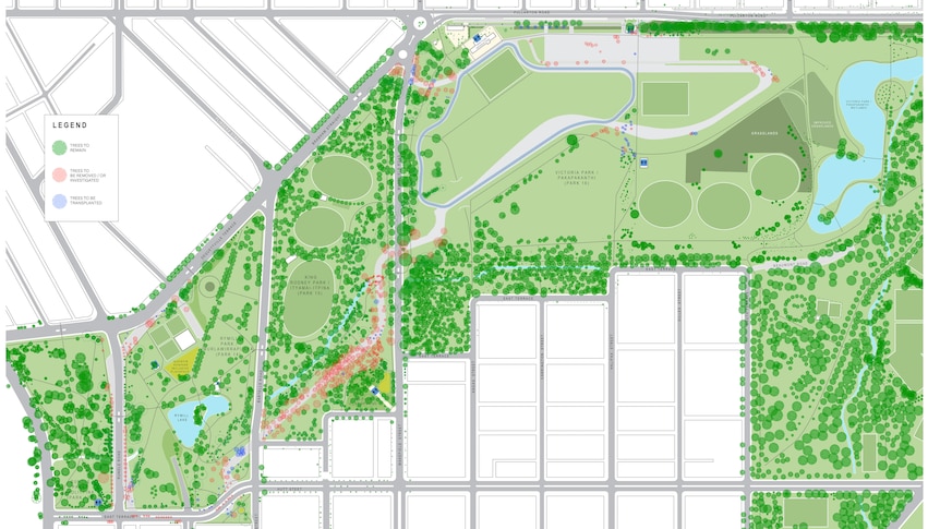 A map showing the trees slated for removal from the proposed new Adelaide circuit.