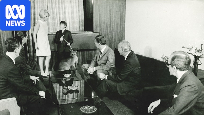 Book showcases Australia's retro television from Skippy to Hey Hey It's Saturday