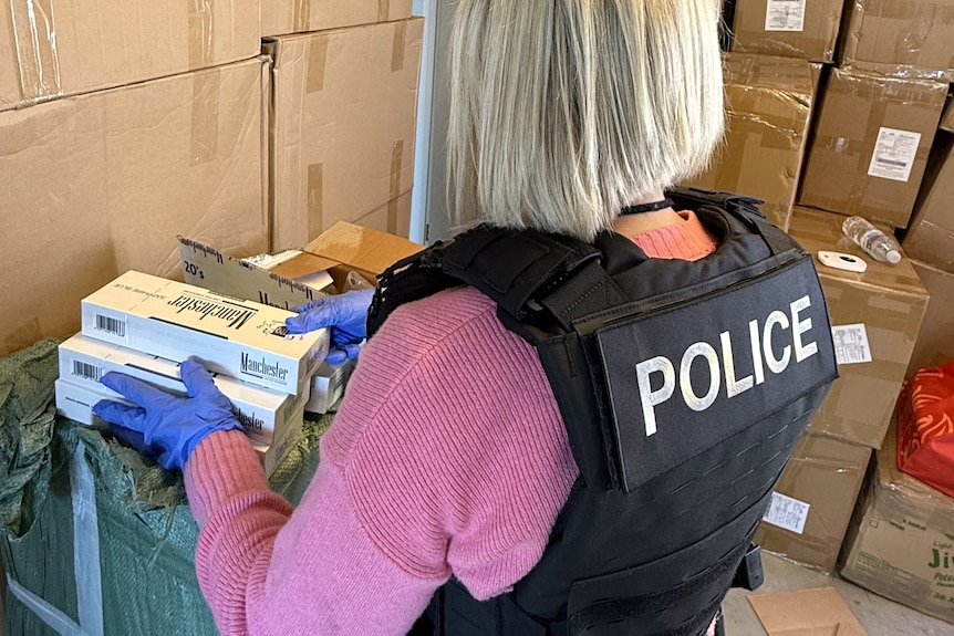 Unidentified female police officer inspects tobacco in boxes.
