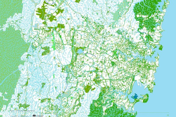 Creeks and rivers run through nearly every part of greater Sydney, and 85 per cent of the population lives within 800 metres of water –  mangroves, creeks, wetlands, the harbour or the ocean –  usually bordered by parks and green spaces.