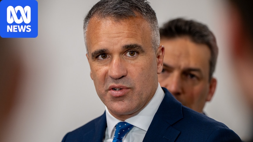 SA's AI royal commission is genuinely novel — but critics have warned of glitches